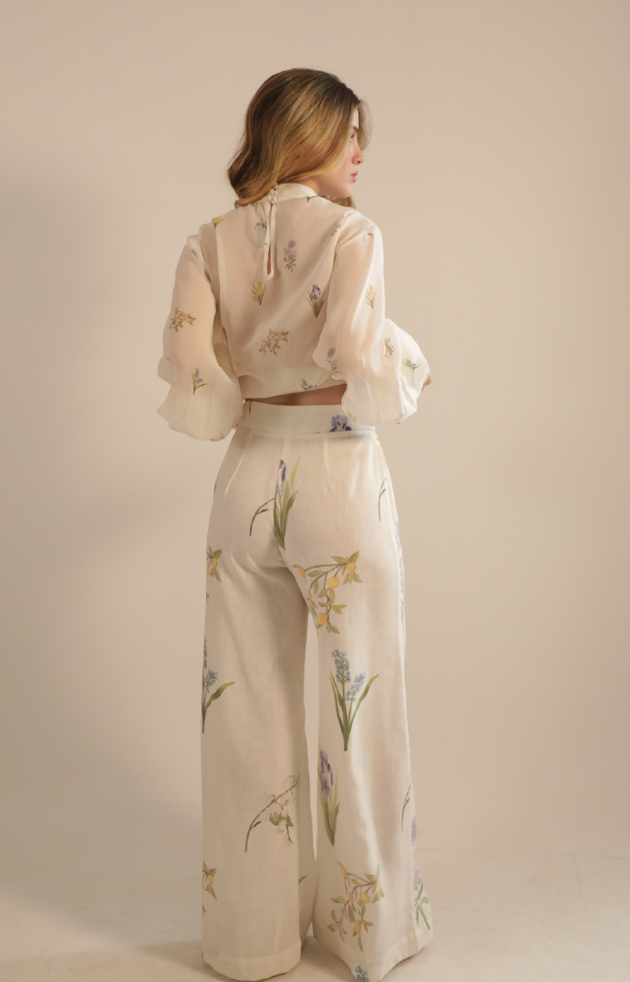 DIONE PANT